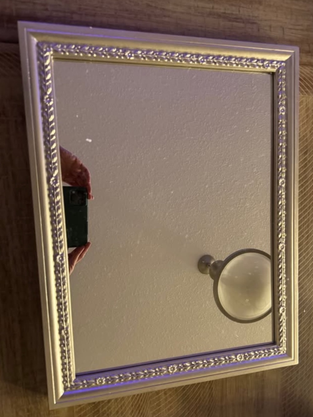 Pottery Barn Kids Silver Wall Mirror